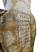 China Hundred Dragons Vase Back Script 1