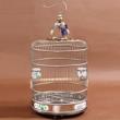 Deluxe 42 cm Stainless Steel Round Bird Cage