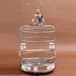 Deluxe 40 cm Stainless Steel Bird Cage