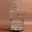 Gold 45 cm Stainless Steel Bird Cage